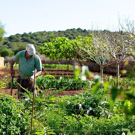 Sos Ferres D'en Morey Casa di campagna *