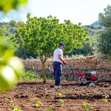 Casa di campagna Sos Ferres D'en Morey *