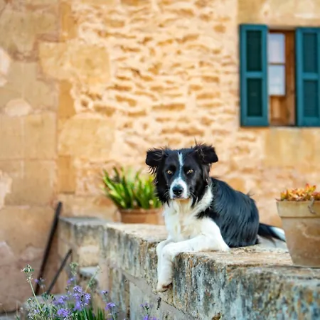 Country house Sos Ferres D'en Morey *