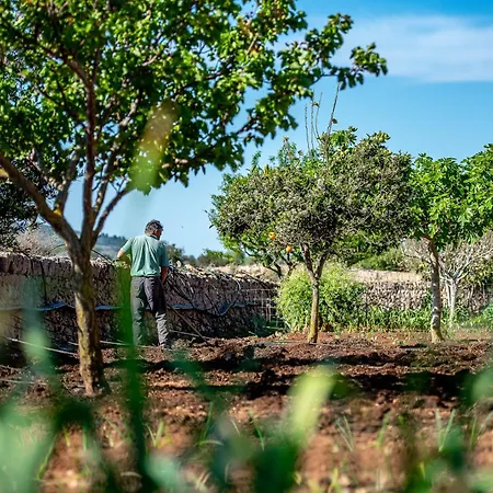 Country house Sos Ferres D'en Morey Manacor (Mallorca)